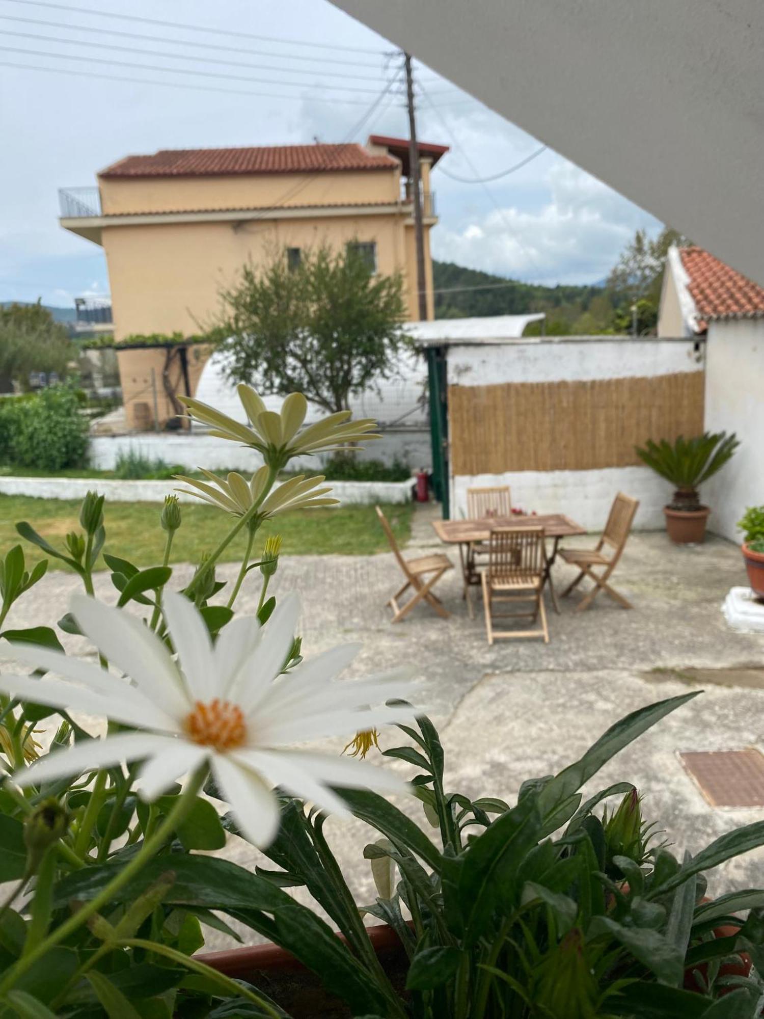 Appartamento Navy With Mountain View &private Parking *